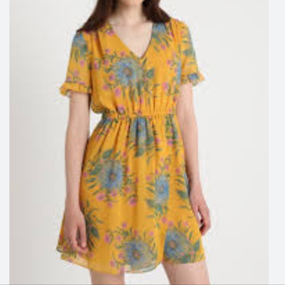 Madewell Sweetgrass Ruffle Sleeve Dress in Painted Blooms. Size O.